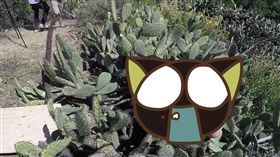  Zach Holmes,Steve-O,自虐,鞭炮,電擊棒,挑戰,重力加速,仙人掌,裸體,溜滑板　圖／翻攝自Steve-O YouTube影片