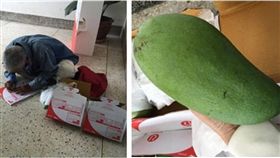 泰國,親情,溫馨,芒果,潑水節,郵局,慈父,父親 圖／翻攝自臉書