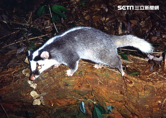盼關門！動物大體老師上的公民科學課