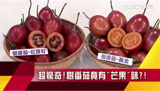 紅番茄護心抗癌！樹番茄有芒果味？