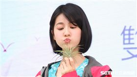 20170426連俞涵出席運動鞋春夏新品發表會