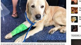 ▲狗狗失蹤4年被找到。（圖/翻攝自Unilad）
http://www.unilad.co.uk/animals/lost-dog-reunited-with-owners-after-surviving-four-years-in-the-wild/