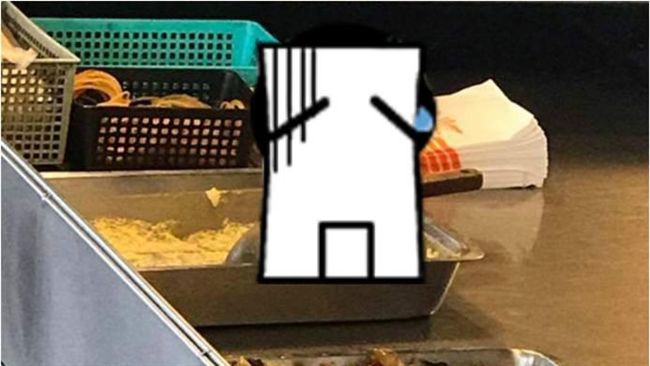 料理鼠王現身？　專注模樣讓網友笑翻
