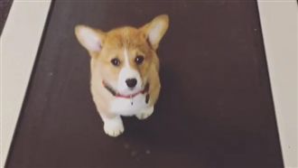 兩光迷你跑步基　半途而廢超懶der