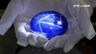 1349克拉藍寶石　首度在台灣曝光