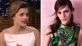 艾瑪華森,Emma Watson
（圖／翻攝自YouTube、臉書）