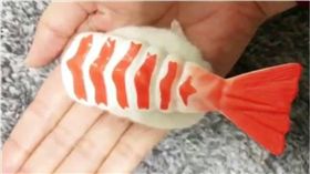 倉鼠,老鼠,壽司,握壽司,蝦子,玉子燒　圖／翻攝自推特