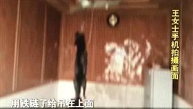 ▲黑狗遭打死後吊掛電風扇上。（圖／翻攝自《環球網》）
http://society.huanqiu.com/article/2017-05/10574148.html