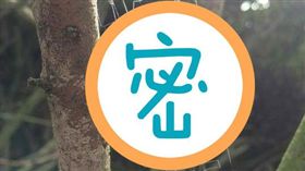 蜘蛛,蜘蛛絲,通靈,畫符／爆料公社