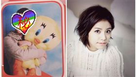 ▲宋芸樺。（合成圖／翻攝自宋芸樺臉書）