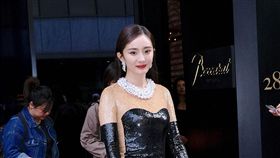 大都會藝術博物館慈善晚宴（Met Gala）楊冪　圖／達志影像