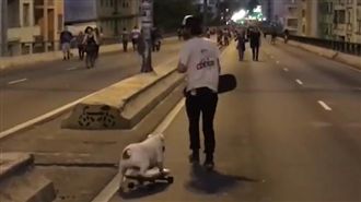 法鬥黏主人討滑板　一秒變B-BOY