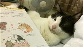 寵物滔客(圖片版權屬於滔客線上雜誌)
