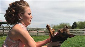 寵物滔客(圖片版權屬於滔客線上雜誌)
