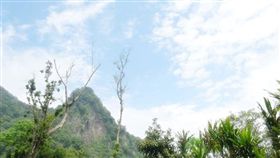 旅遊滔客(圖片版權屬於滔客線上雜誌)
