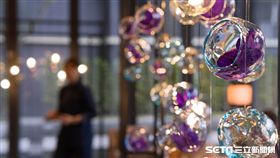 晶泉丰旅,客座藝術家。（圖／晶泉丰旅提供）