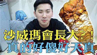 沙威瑪會長大？真的好傻好天真！