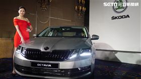 葉立斌攝　新車　Skoda New Octavia