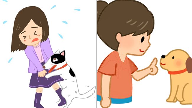 狗狗老是「騎」我的腳！避尷尬這樣教