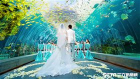 三亞,旅遊,沙灘,海島婚禮,海外婚攝,海外婚禮。（圖／三亞旅遊局提供）