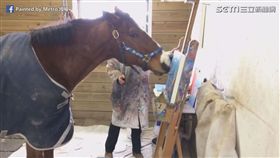 會畫畫的馬Metro
（圖／Painted by Metro授權）