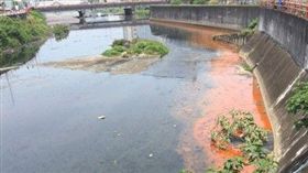 泰山區中港大排「染色」　阿羅哈客運遭罰（新北市環保局）
