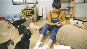 名家專用／SEXY NUTS／貓狗領養 郭源元（勿用）