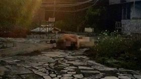 西門獅子林野戰　爆料公社