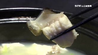 野生錢鰻膠質厚　炎夏「涼補」首選