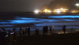 日本湘南藍眼淚(圖/翻攝自twitter)