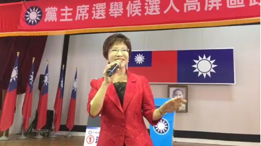 國民黨主席洪秀柱參加黨中央舉辦的政見發表會高雄場。(翻攝國民黨臉書)