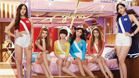 圖／翻攝自T-ara臉書、花英、雅琳IG