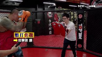 拳拳到肉！館長「綜合格鬥技」大解密