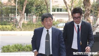 若能去WHA　陳時中成代表不二人選