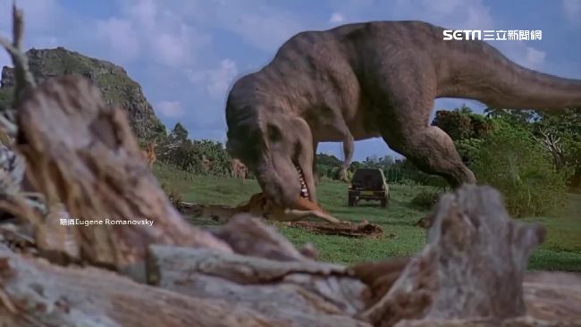 美國女演員黛安拉德享壽89歲，她的女兒曾是侏儸紀公園女主角。（圖／資料照）