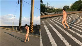 台中太平遛鳥俠／爆廢公社