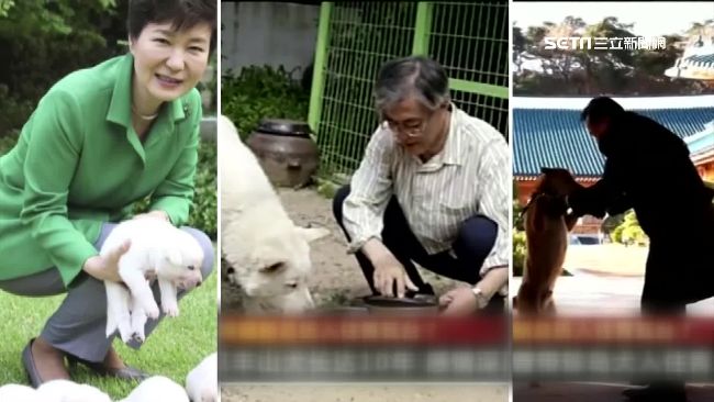 青瓦台新主人是誰？南韓第一犬成焦點