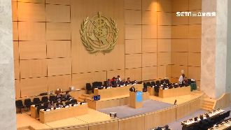 台灣WHA恐遭阻！外館擬遊行抗打壓