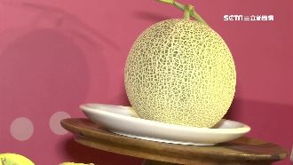 網購日直送哈密瓜　一片200元！