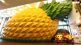 維格餅家(翻攝官網)