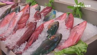 墾丁品嚐鮮味　飛魚、芭蕉旗魚最當令