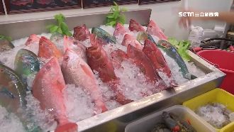 合菜比單點貴？遊客怒：海產店不老實