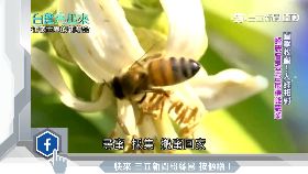 f騙警錢夾娃1200