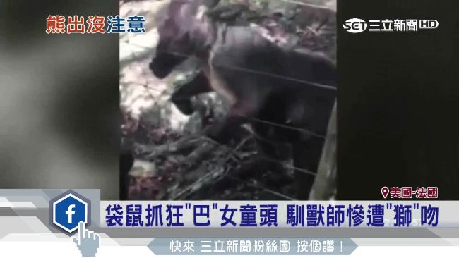 袋鼠抓狂巴頭　女童留14道血爪痕