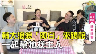 輔大浪浪阿白來踢館　一起幫牠找主人