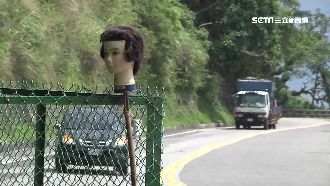 山路旁的3顆假頭！駕駛心驚險釀車禍