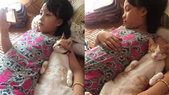 激萌～貓皇躺主人臂彎「陪滑」到睡著