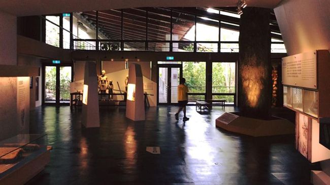 博物館日＋母親節　史前館免費參觀