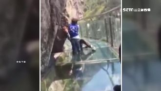 挑戰玻璃棧道　兒子不怕…爸先腿軟！
