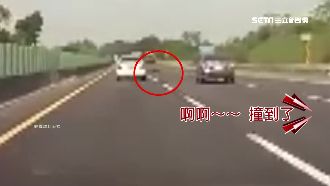 狗跳窗險遭輾　駕駛竟違停國道撿狗